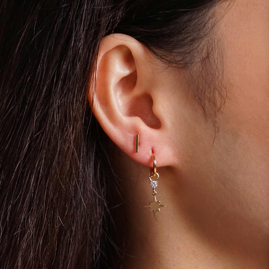 Simple Rod Edelstahl Ohrringe