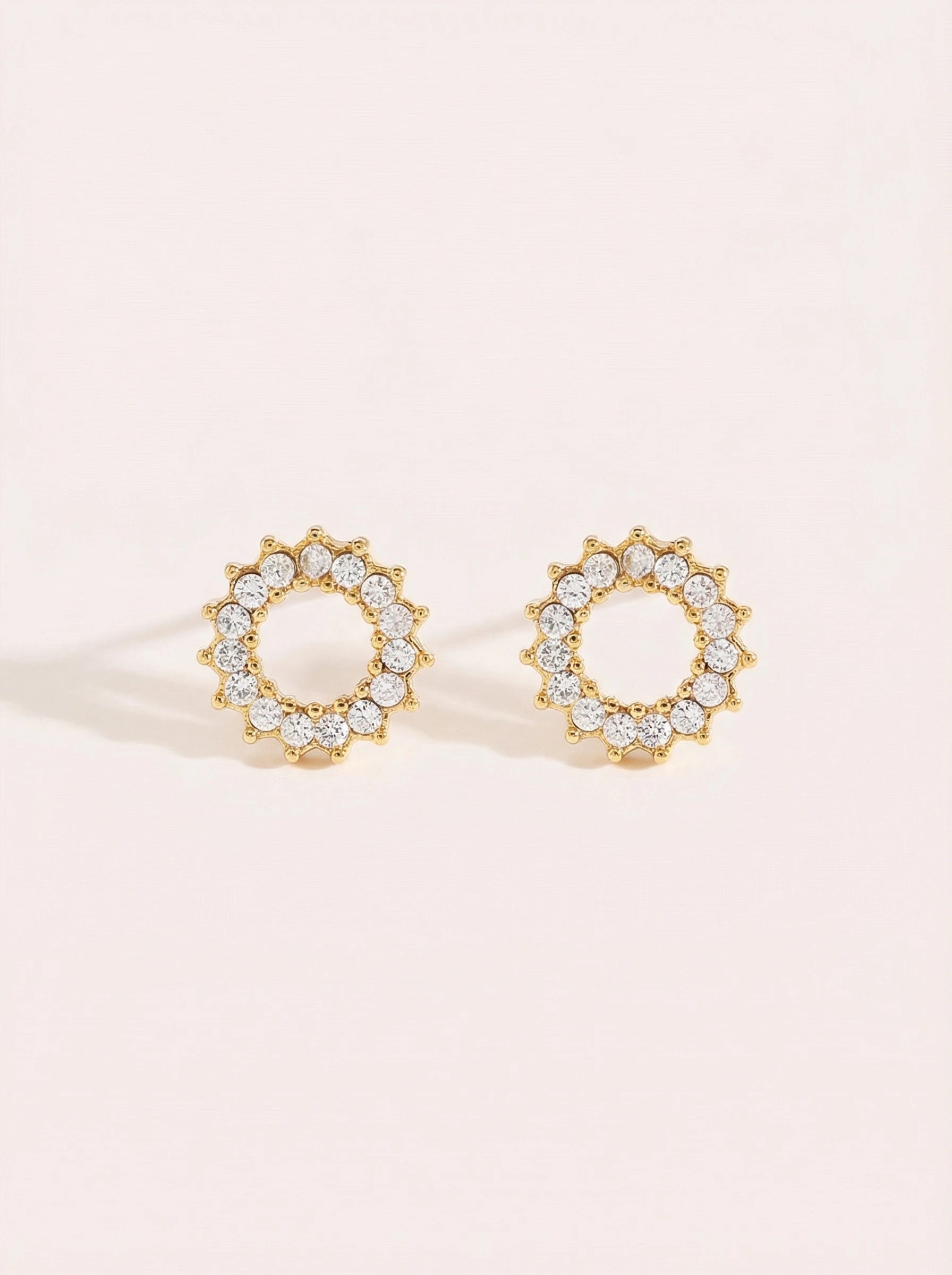 Cycle Flower Diamond Edelstahl Ohrringe