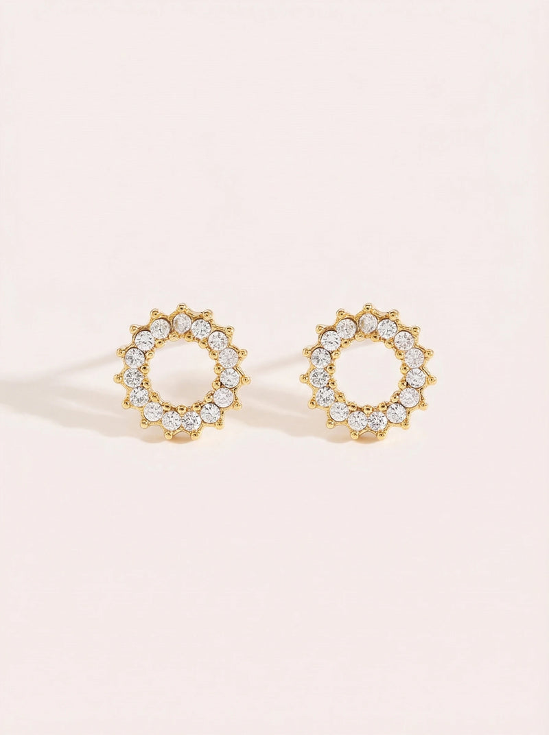 Cycle Flower Diamond Edelstahl Ohrringe